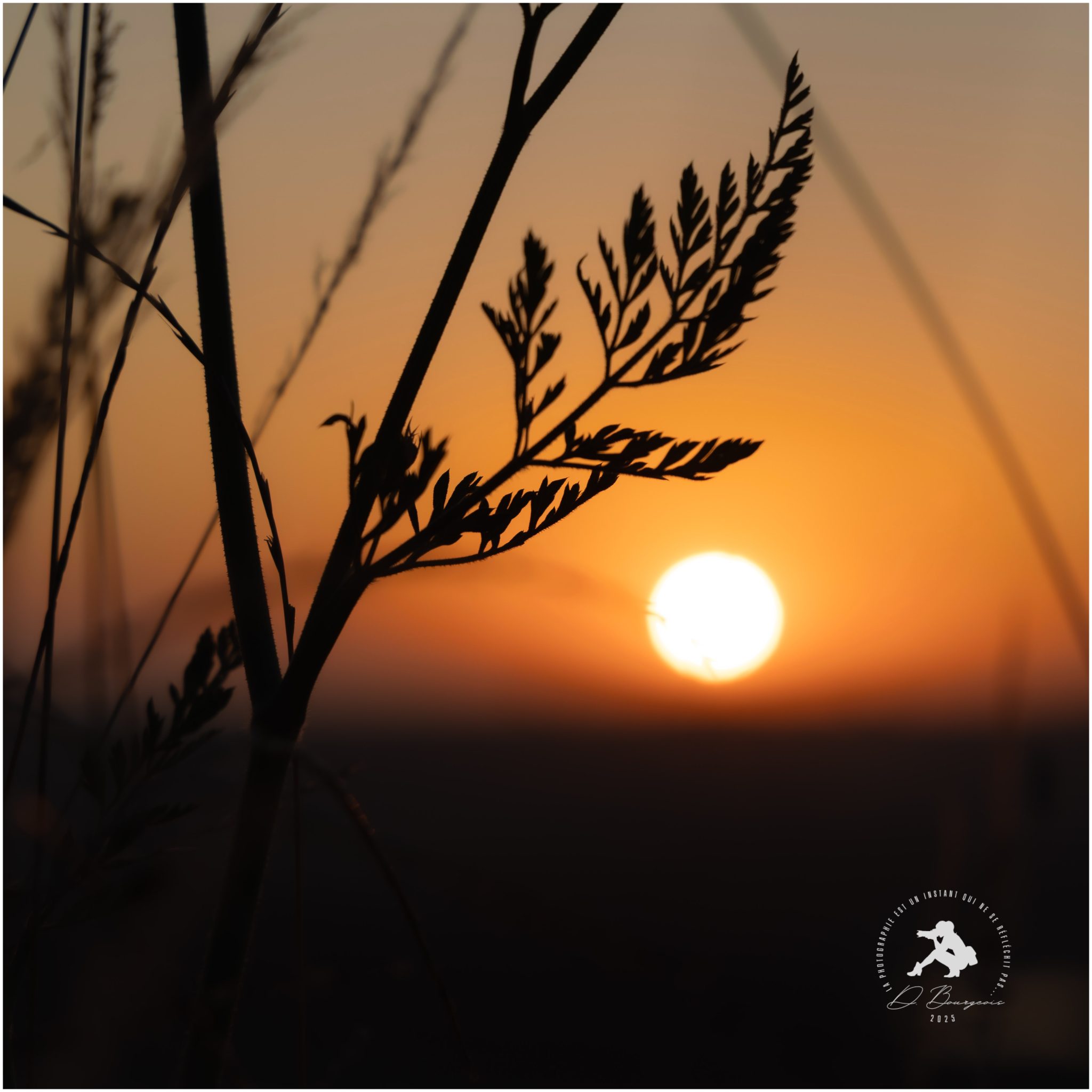 Lever de soleil Suances