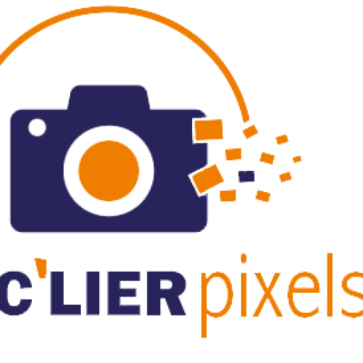 cropped-cropped-LOGO_CELLIER-PIXELS.png